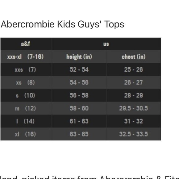 Abercrombie & Fitch Grey Fleece Zip Up Sweatshirt Boys XL 16 - Picture 7 of 7